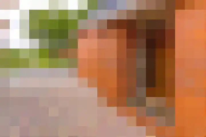 Noorderdiep 466 Nieuw-Buinen thumbnail 11