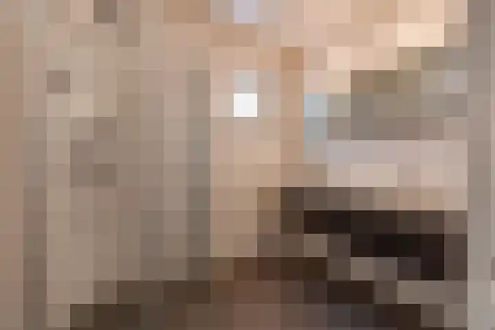 Noorderdiep 466 Nieuw-Buinen thumbnail 16
