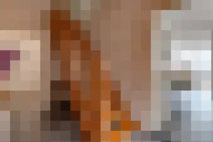 Noorderdiep 466 Nieuw-Buinen thumbnail 18