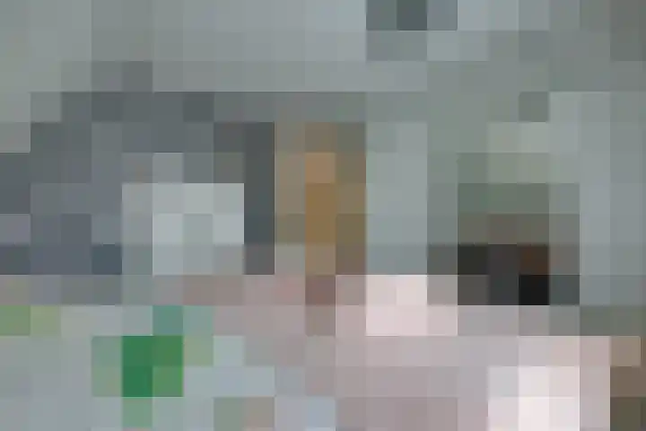 Noorderdiep 466 Nieuw-Buinen thumbnail 21