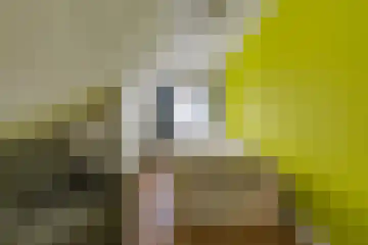 Noorderdiep 466 Nieuw-Buinen thumbnail 23