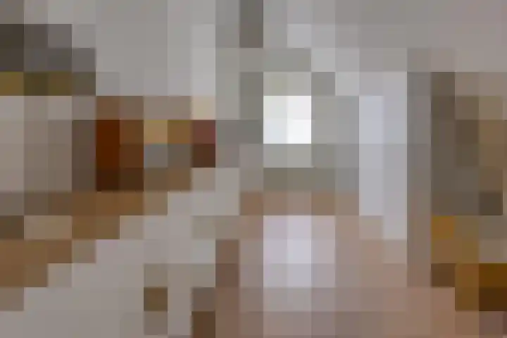 Noorderdiep 466 Nieuw-Buinen thumbnail 25