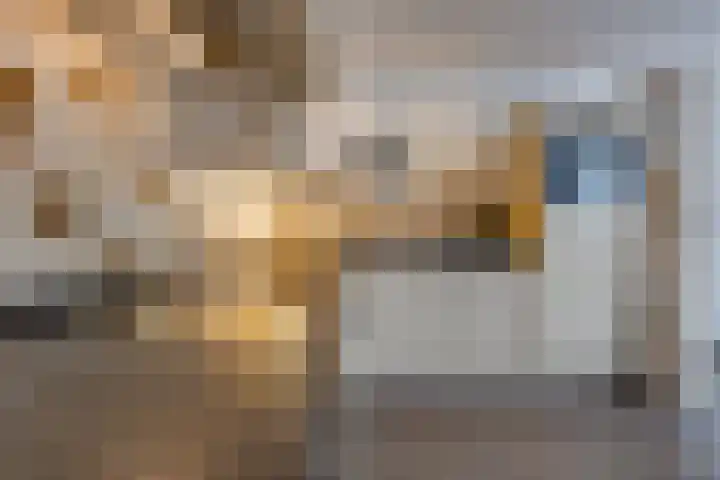 Noorderdiep 466 Nieuw-Buinen thumbnail 28