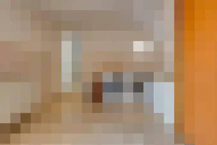 Noorderdiep 466 Nieuw-Buinen thumbnail 33