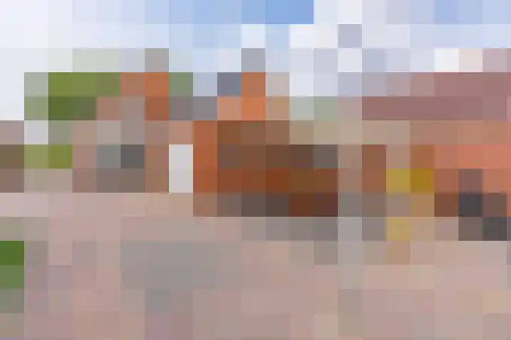 Noorderdiep 466 Nieuw-Buinen thumbnail 36