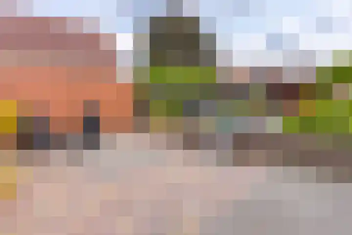 Noorderdiep 466 Nieuw-Buinen thumbnail 39