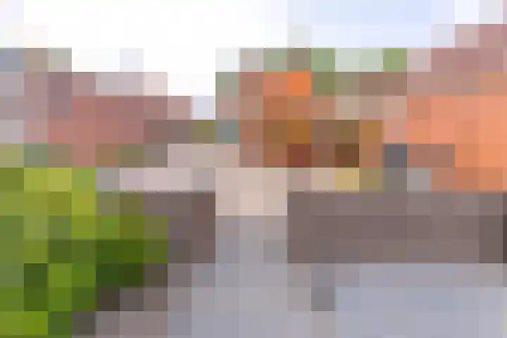 Noorderdiep 466 Nieuw-Buinen thumbnail 41