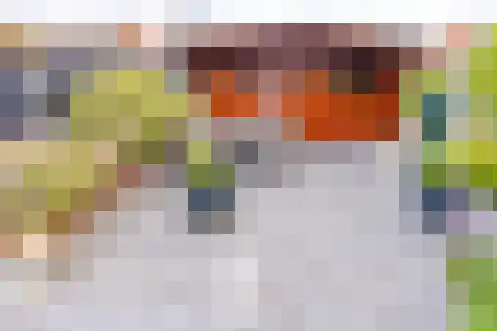 Noorderdiep 466 Nieuw-Buinen thumbnail 42