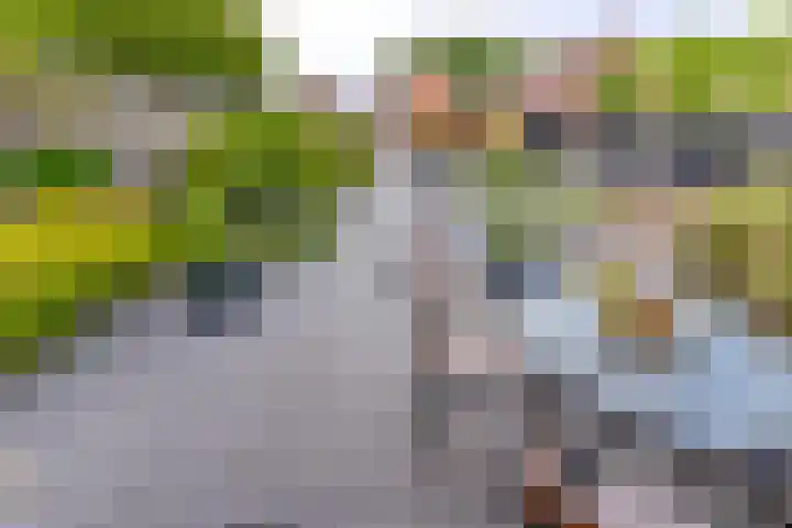 Noorderdiep 466 Nieuw-Buinen thumbnail 43