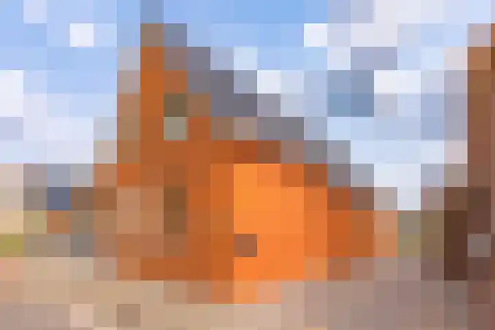 Noorderdiep 466 Nieuw-Buinen thumbnail 6