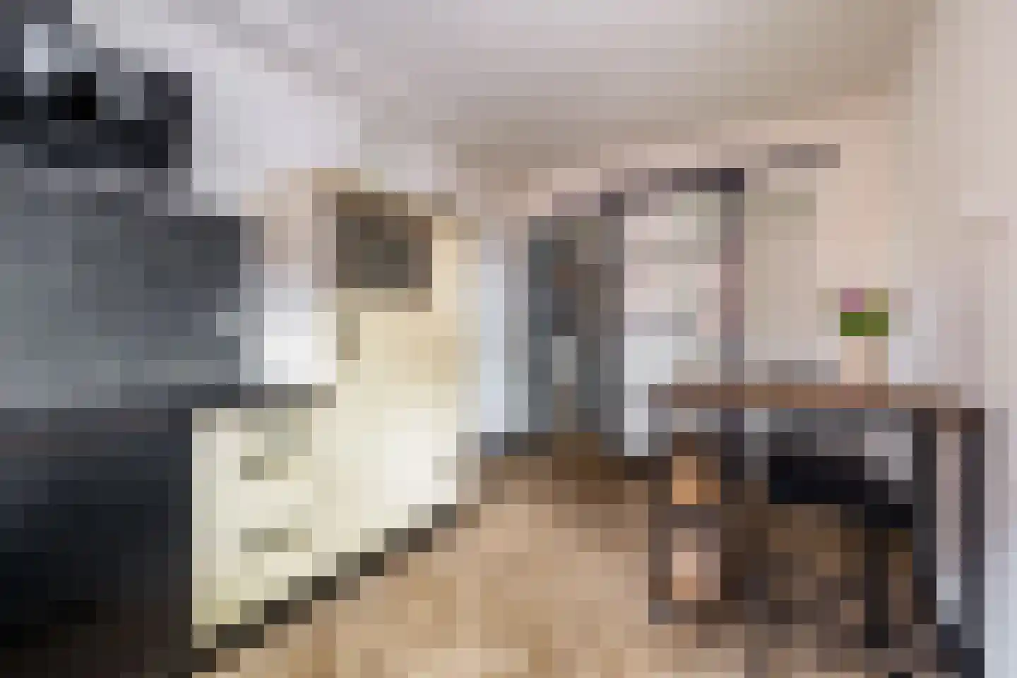 Noorderdiep 468 Nieuw-Buinen thumbnail 20