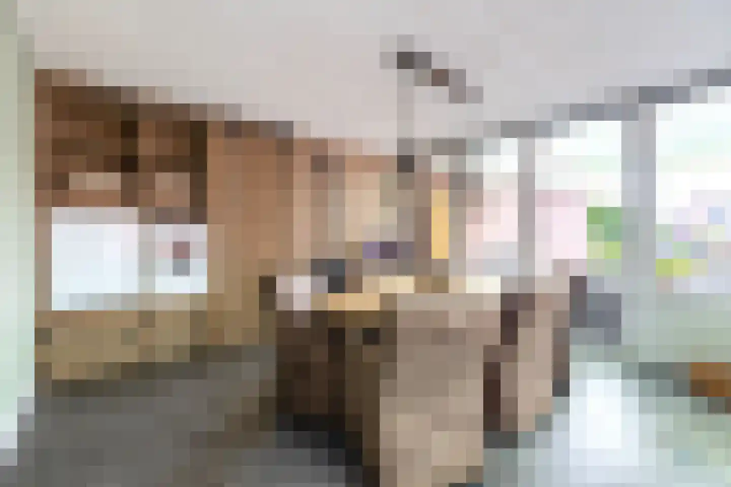 Noorderdiep 468 Nieuw-Buinen thumbnail 22