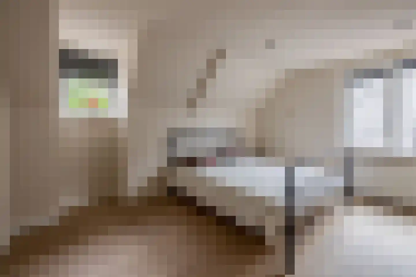 Noorderdiep 468 Nieuw-Buinen thumbnail 30