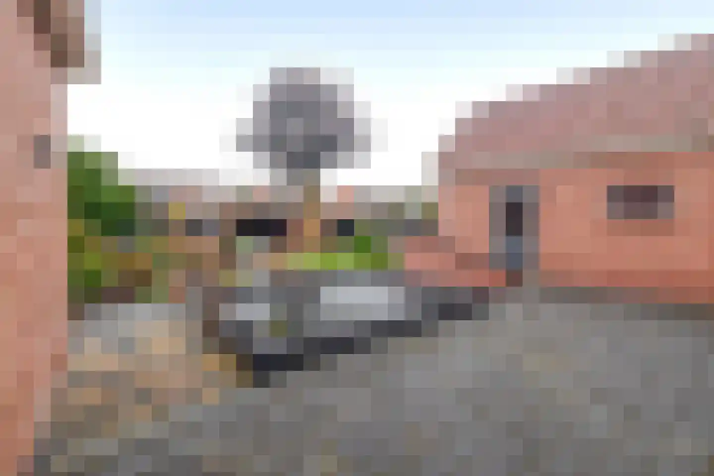 Noorderdiep 468 Nieuw-Buinen thumbnail 35