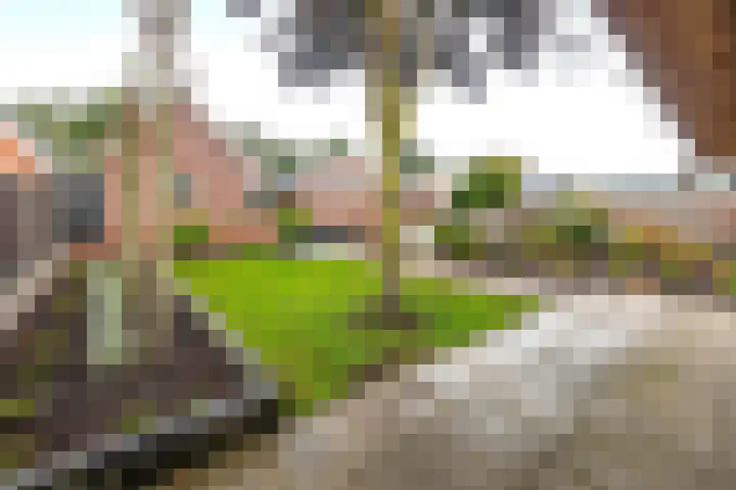 Noorderdiep 468 Nieuw-Buinen thumbnail 40