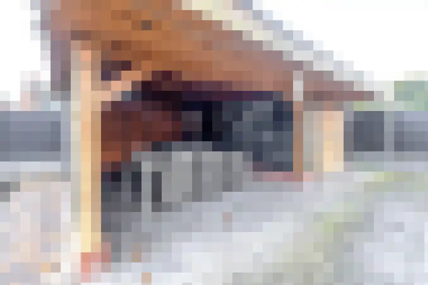Noorderdiep 468 Nieuw-Buinen thumbnail 43