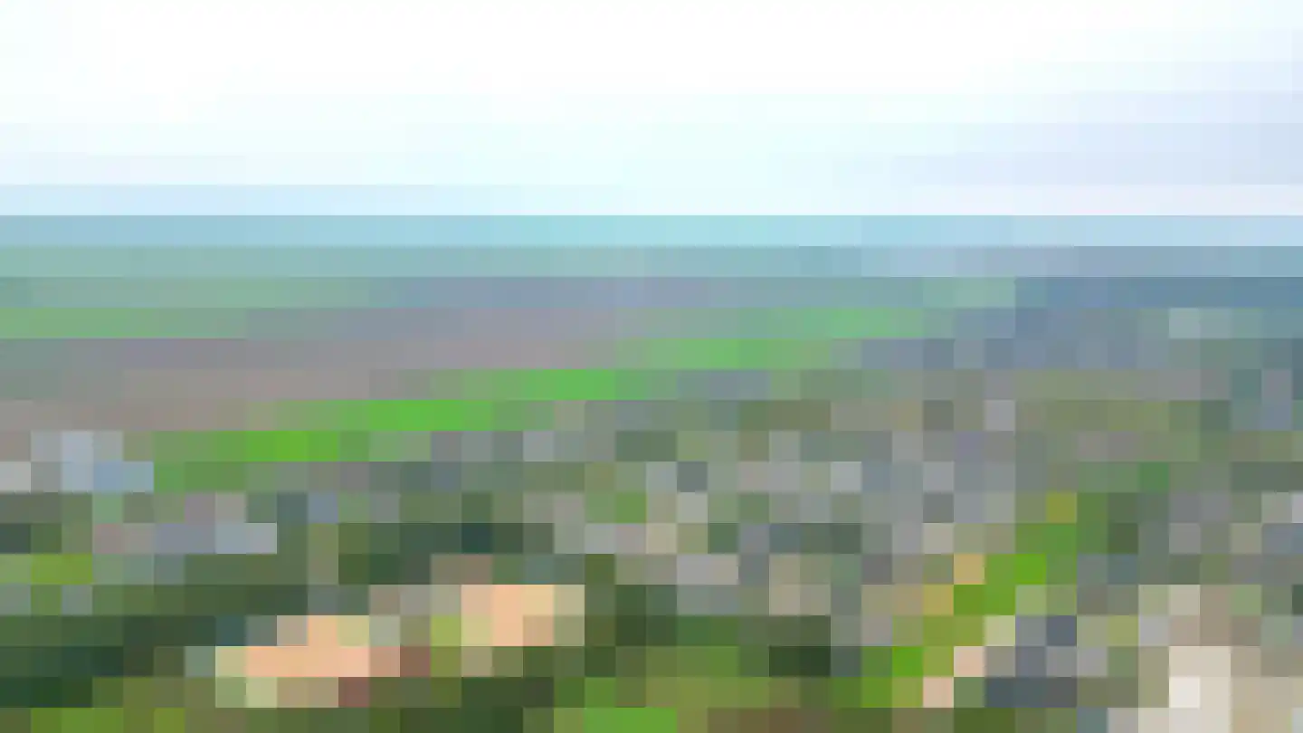 Noorderdiep 468 Nieuw-Buinen thumbnail 56