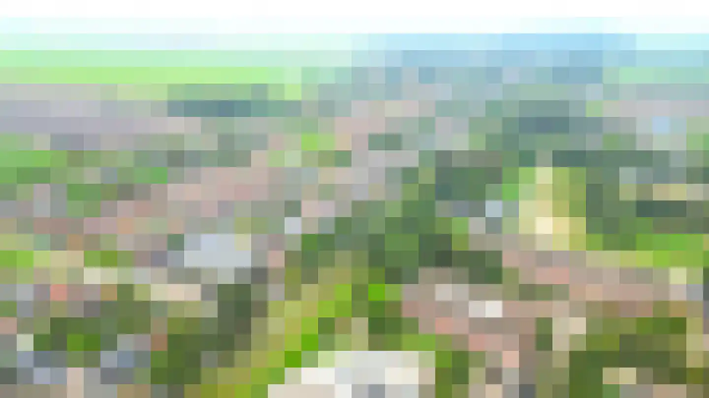 Noorderdiep 468 Nieuw-Buinen thumbnail 59