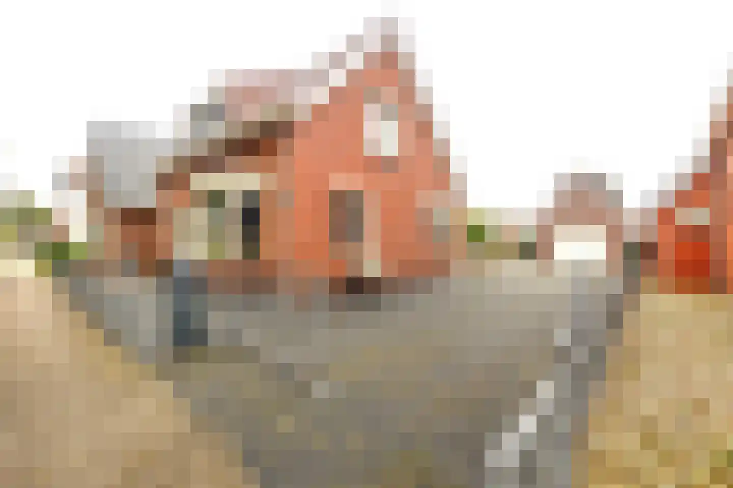 Noorderdiep 468 Nieuw-Buinen thumbnail 8