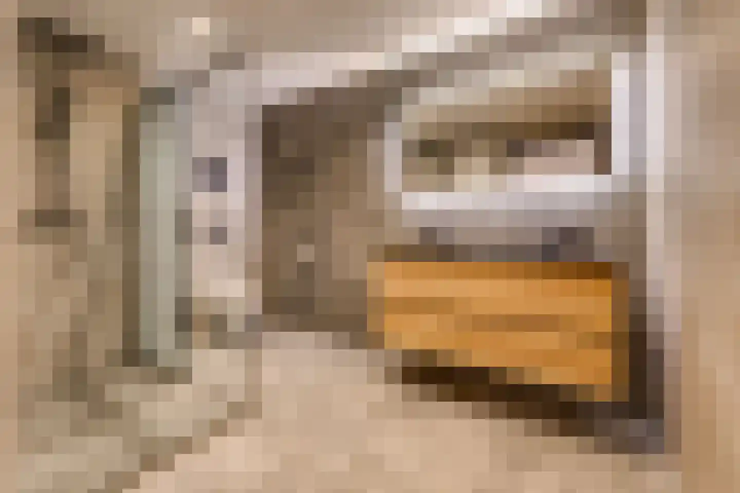 Noorderdiep 470 Nieuw-Buinen thumbnail 22