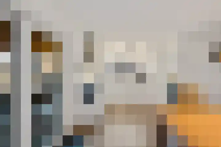 Noorderdiep 480 Valthermond thumbnail 11