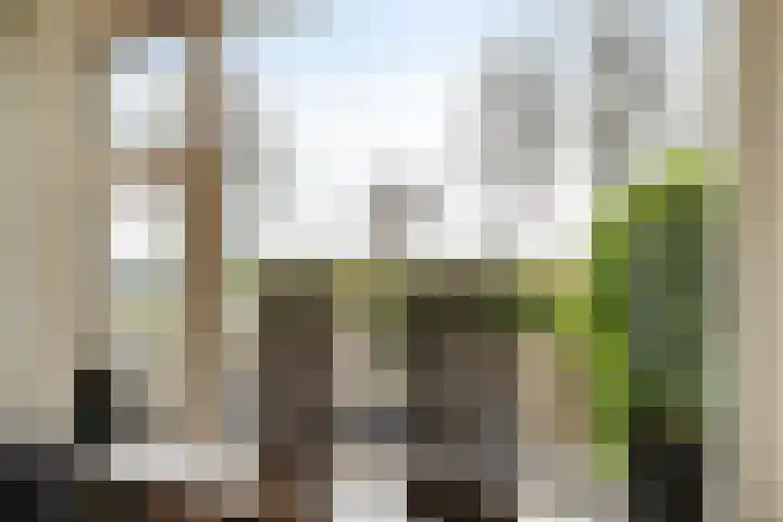 Noorderdiep 480 Valthermond thumbnail 17