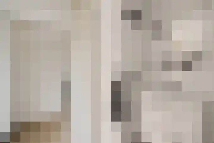 Noorderdiep 480 Valthermond thumbnail 21