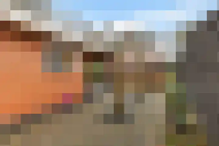 Noorderdiep 480 Valthermond thumbnail 29
