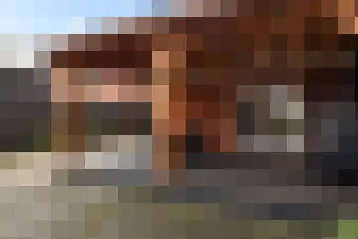 Noorderdiep 480 Valthermond thumbnail 34
