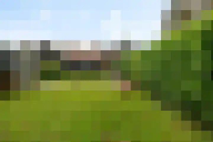 Noorderdiep 480 Valthermond thumbnail 38