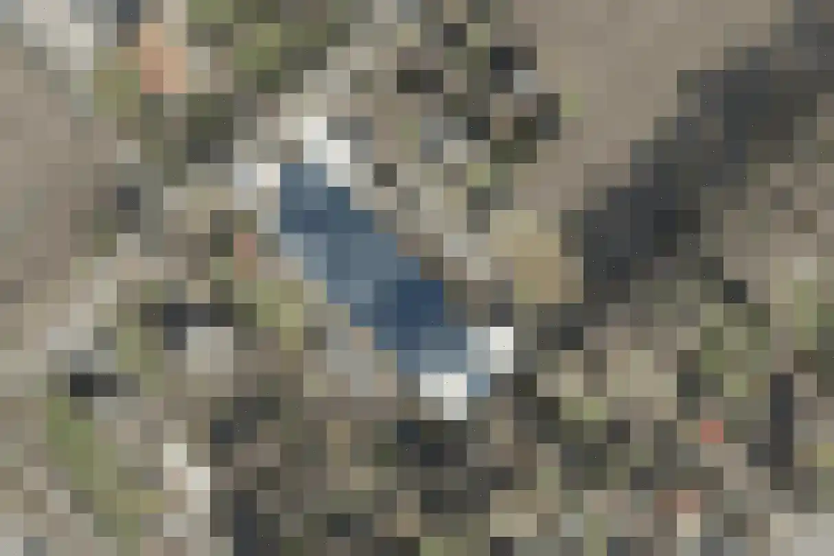 Noorderdiep 488 Valthermond
