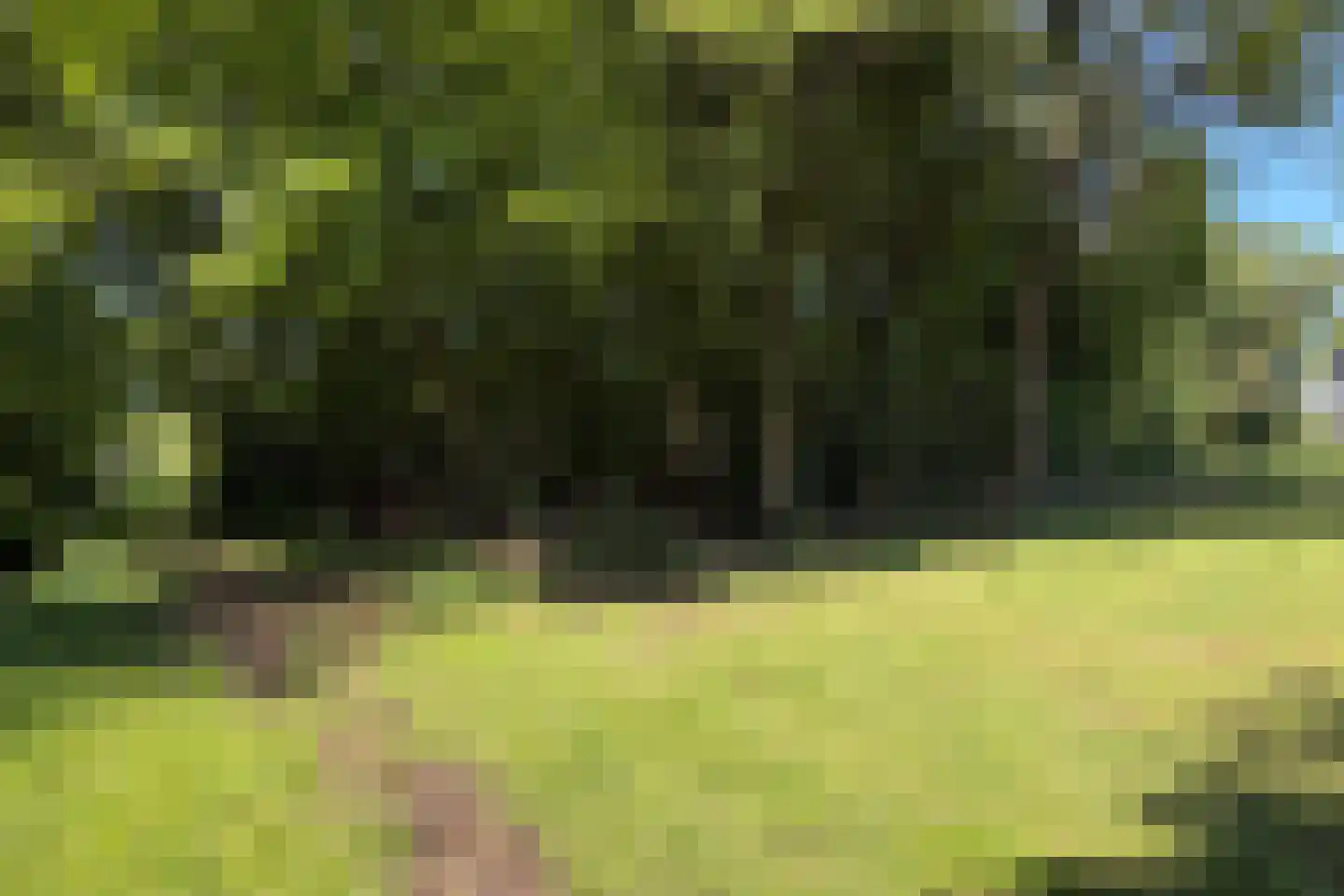 Noorderdiep 488 Valthermond thumbnail 10