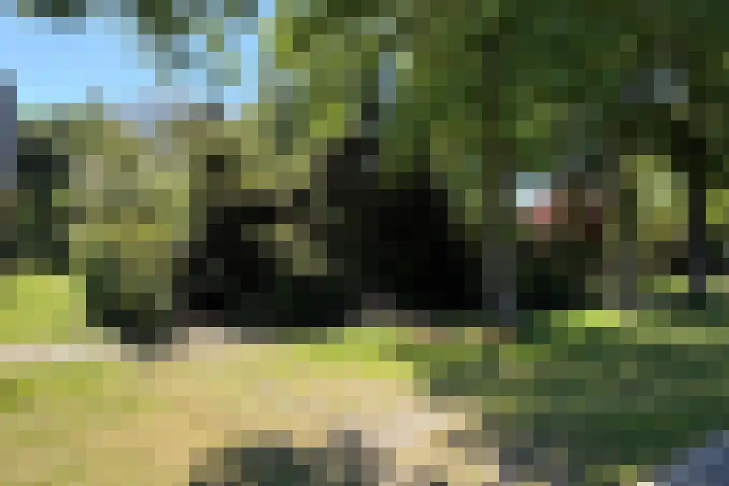 Noorderdiep 488 Valthermond thumbnail 4