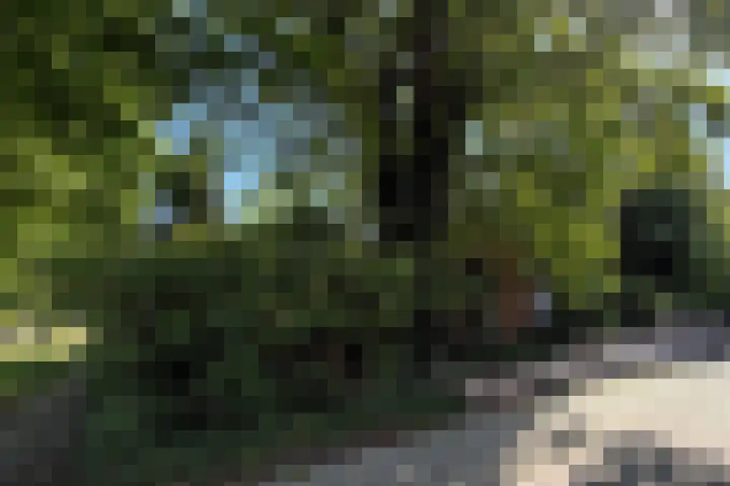 Noorderdiep 488 Valthermond thumbnail 5