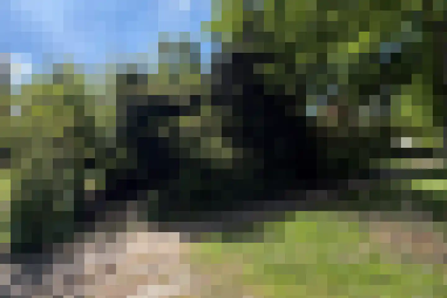 Noorderdiep 488 Valthermond thumbnail 6