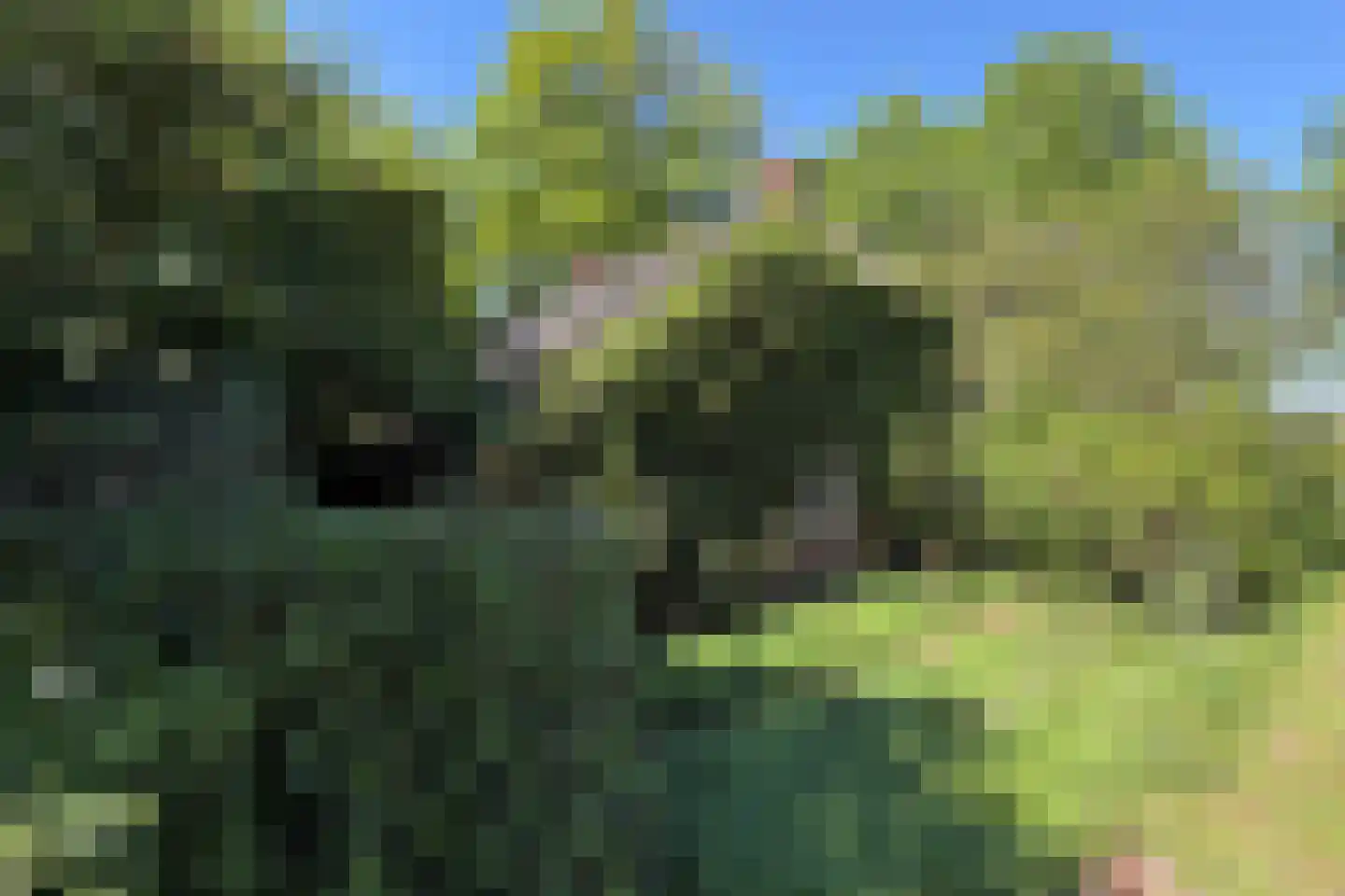 Noorderdiep 488 Valthermond thumbnail 7