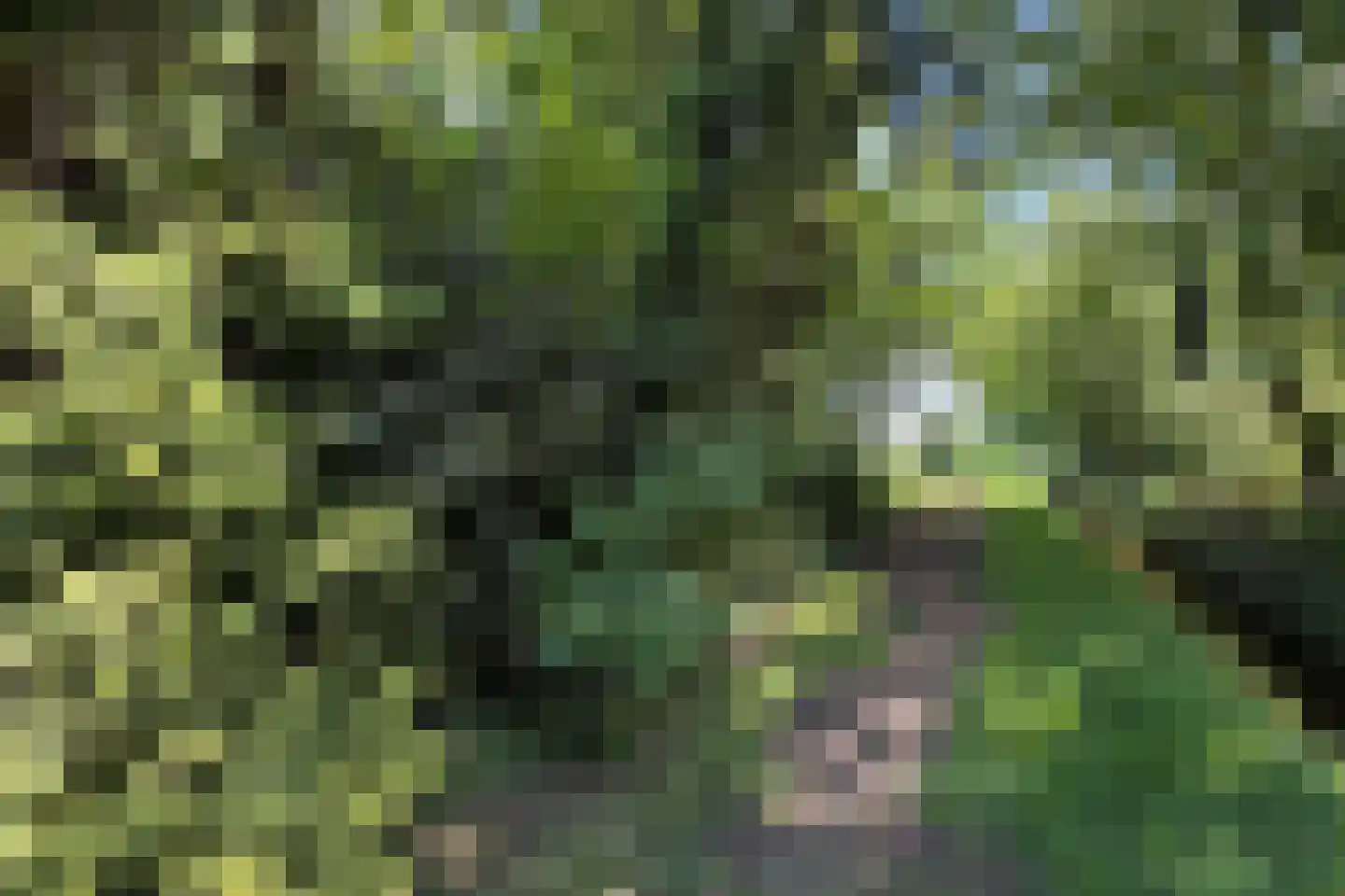 Noorderdiep 488 Valthermond thumbnail 9
