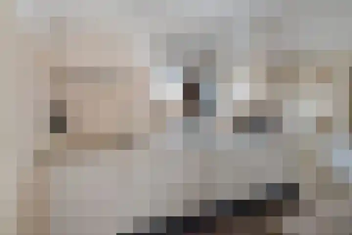 Noorderdiep 49 2e Exloërmond thumbnail 13