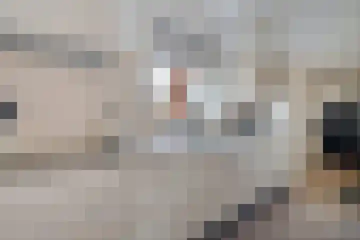 Noorderdiep 49 2e Exloërmond thumbnail 18