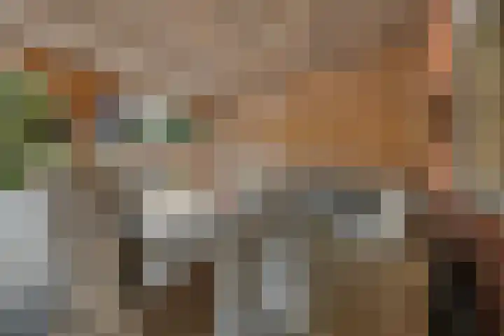 Noorderdiep 49 2e Exloërmond thumbnail 34