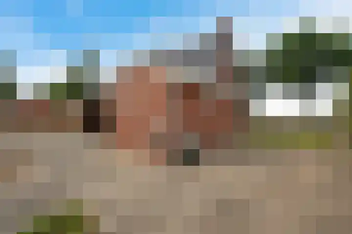 Noorderdiep 49 2e Exloërmond thumbnail 40