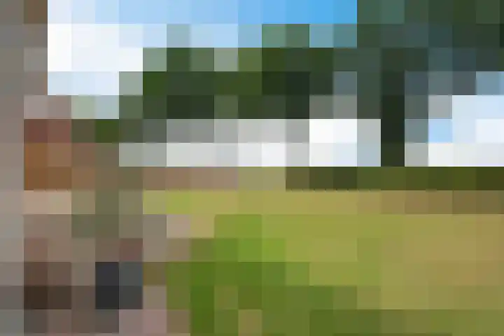 Noorderdiep 49 2e Exloërmond thumbnail 41