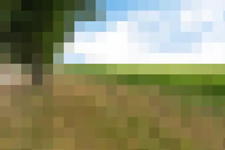Noorderdiep 49 2e Exloërmond thumbnail 48