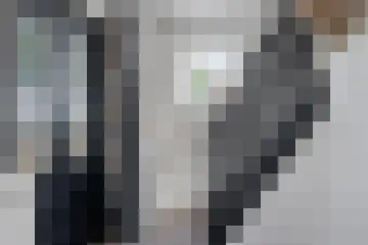 Noorderdiep 49 2e Exloërmond thumbnail 5
