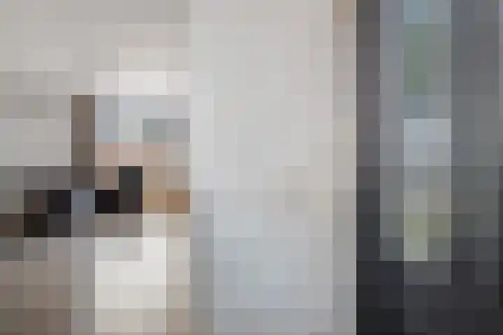 Noorderdiep 49 2e Exloërmond thumbnail 6