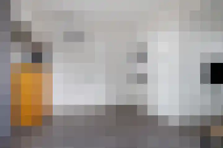 Noorderdiep 49 2e Exloërmond thumbnail 8