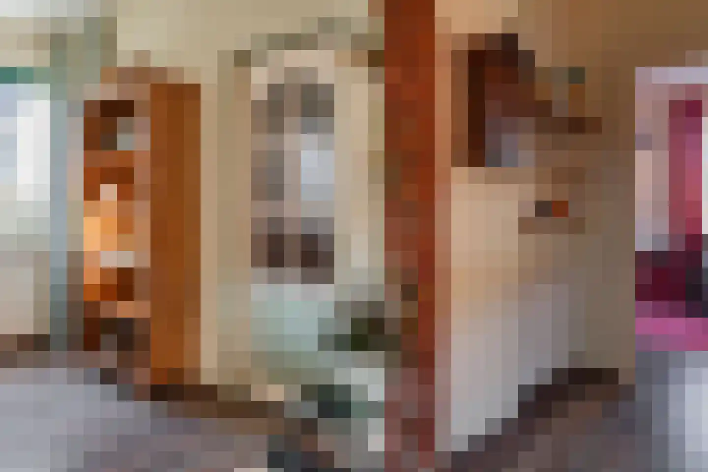 Noorderdiep 496 Nieuw-Buinen thumbnail 14