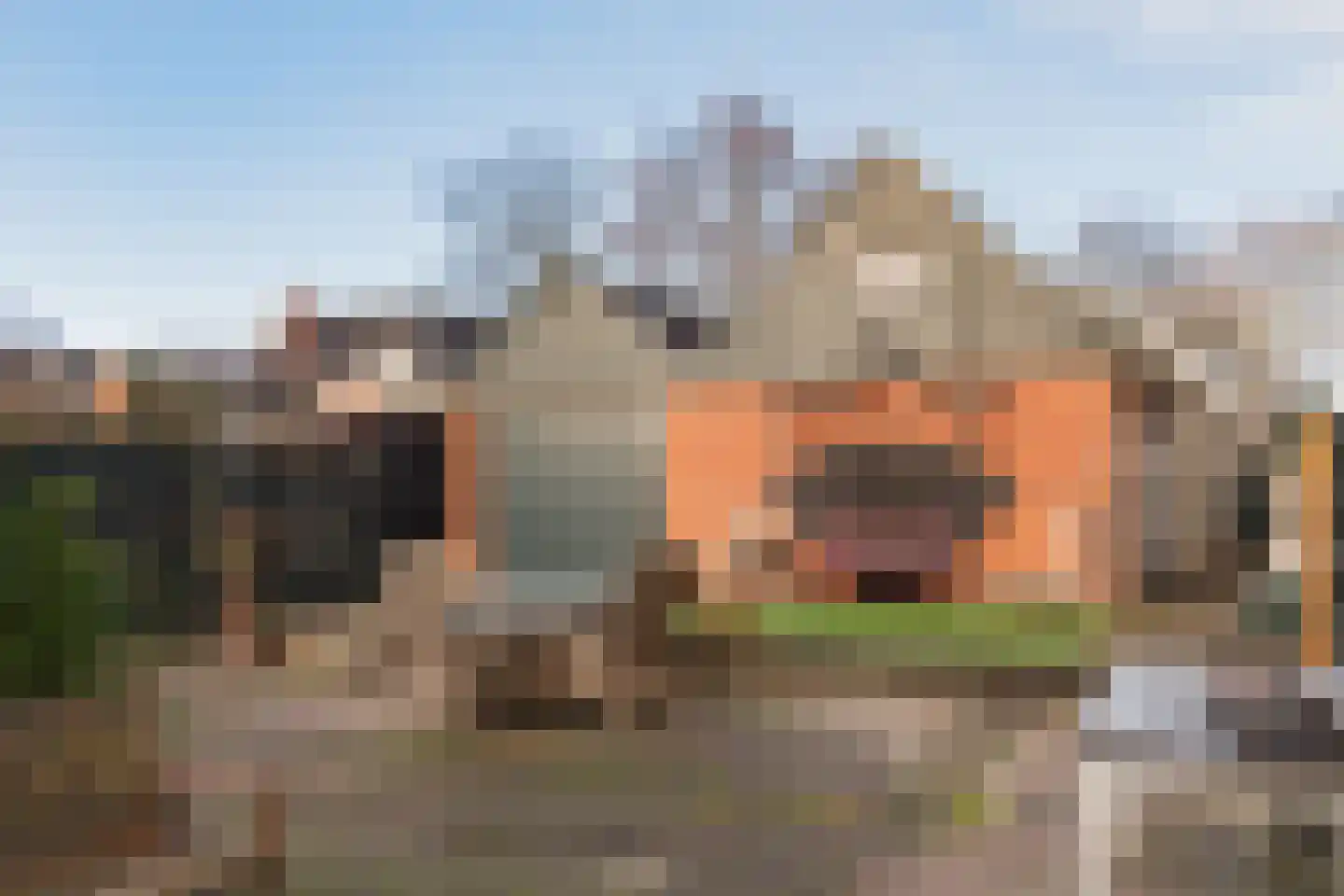 Noorderdiep 496 Nieuw-Buinen thumbnail 35