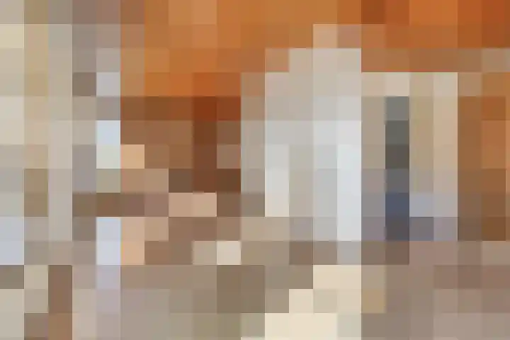 Noorderdiep 518 Nieuw-Buinen thumbnail 10