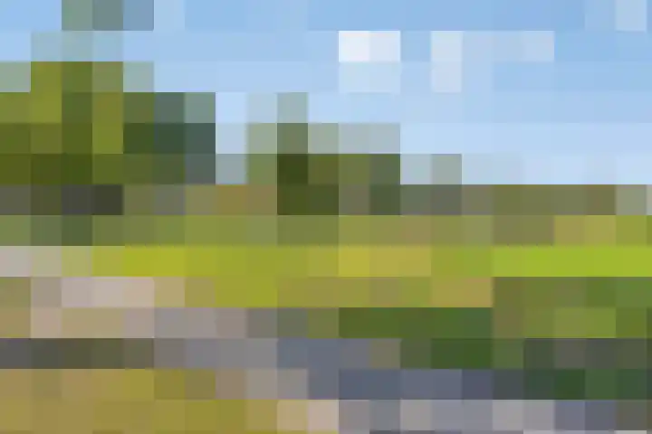 Noorderdiep 518 Nieuw-Buinen thumbnail 38